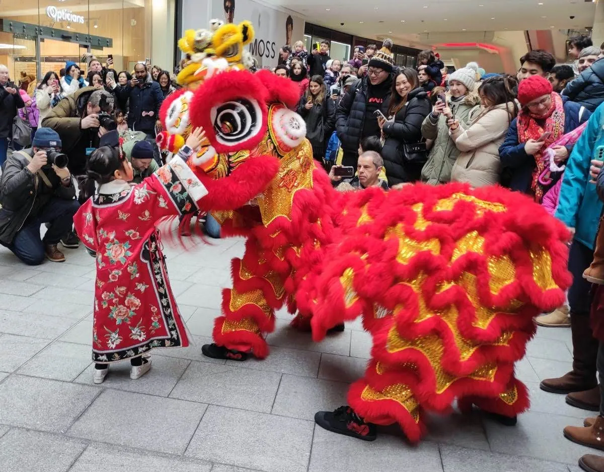 A young girl in a red dress greets a red lion at a shopping centre performance