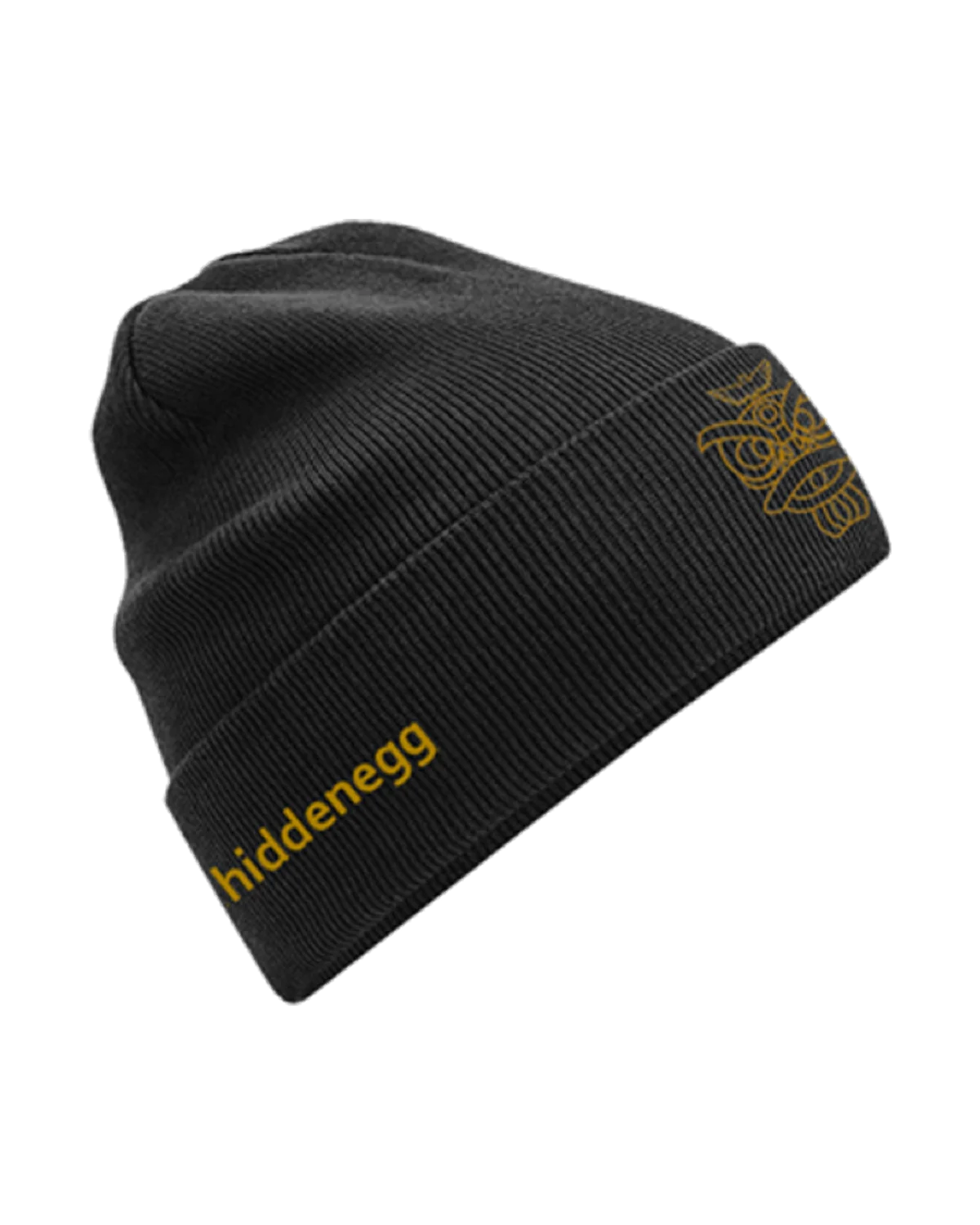 Lion Beanie in Black